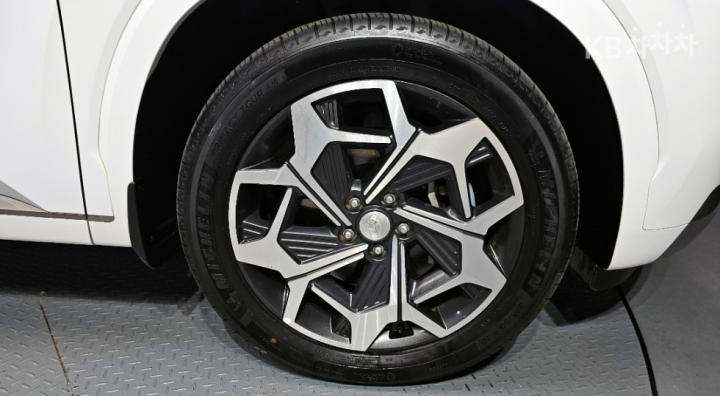 Hyundai Palisade 2.2 Diesel Calligraphy 6