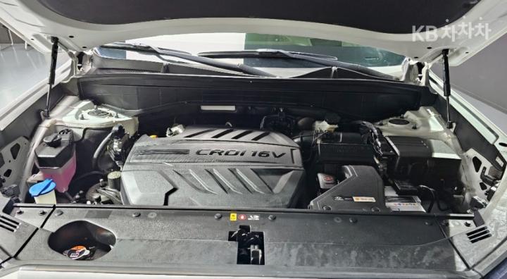 Hyundai Palisade 2.2 Diesel Calligraphy 7