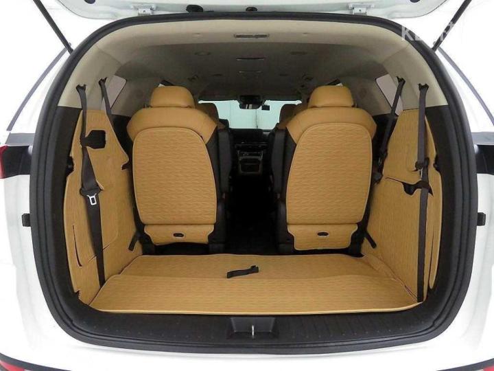 Kia Carnival D2.2 Prestige 6