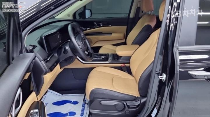 Kia Carnival D2.2 Noblesse 10