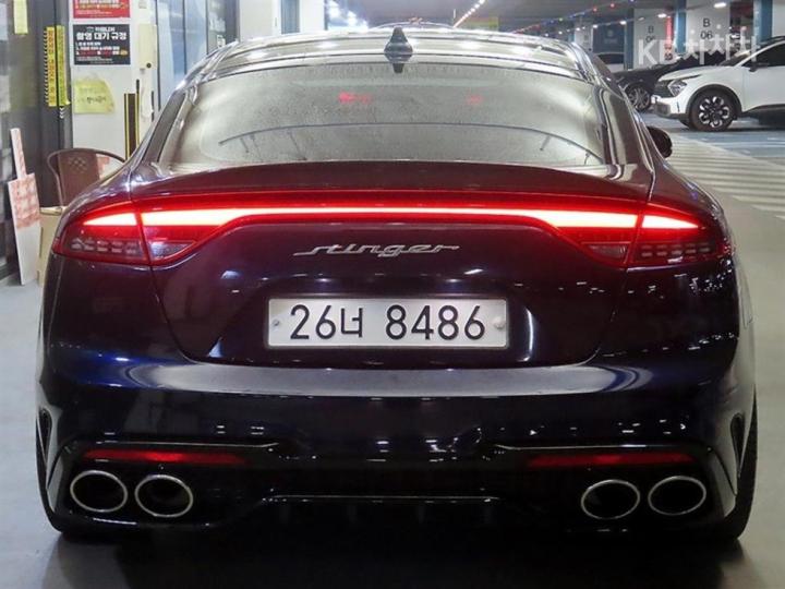 Kia Stinger 2.0 Turbo 2WD Platinum 6