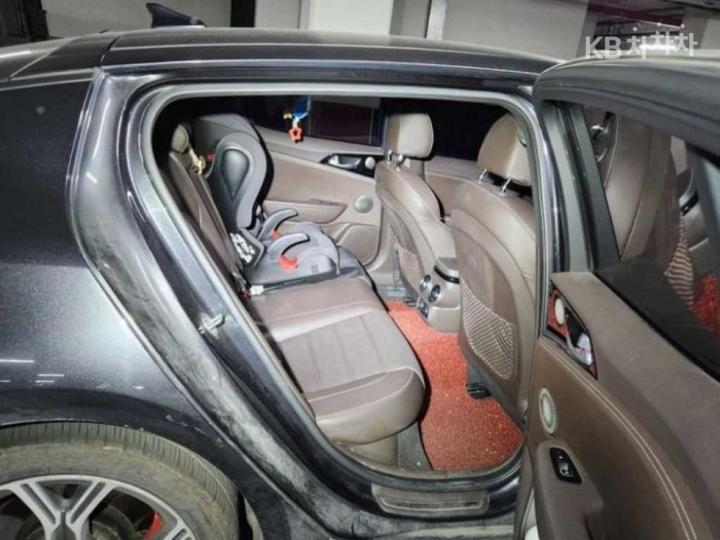 Kia Stinger 2.0 Turbo 2WD Platinum 9