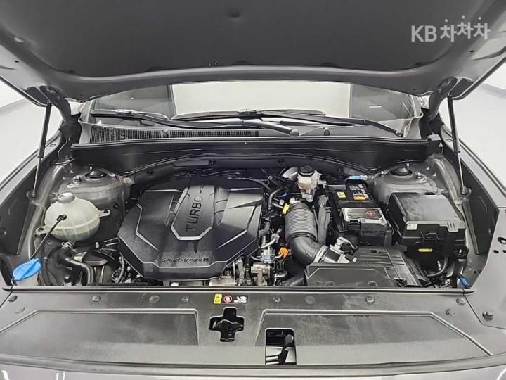 Hyundai Santa Fe TM Diesel 2.2 4WD Premium Choice 6