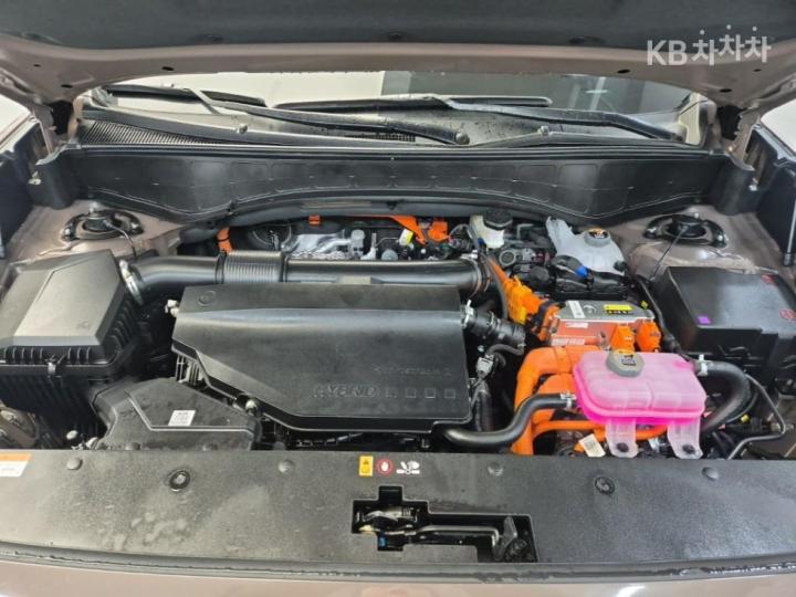 Hyundai Palisade The Hybrid 2.5 Gasoline Turbo 4WD Calligraphy 6