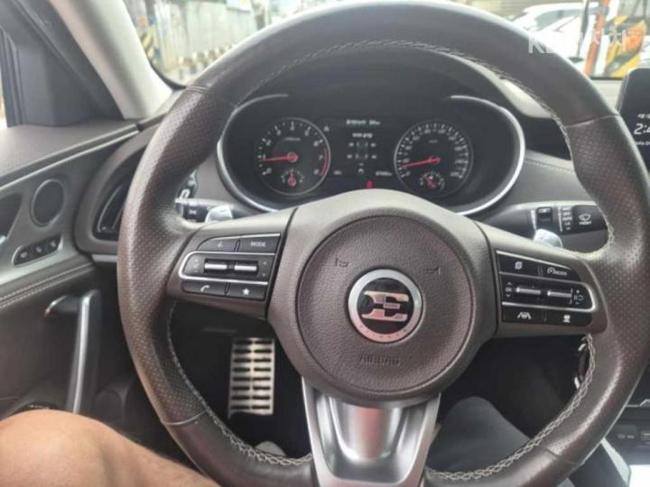 Kia Stinger Meister 2.5 Gasoline Turbo 4WD Masters 10