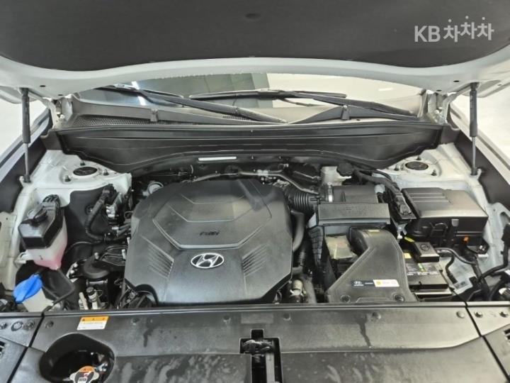 Hyundai Palisade 3.8 Gasoline VIP 6