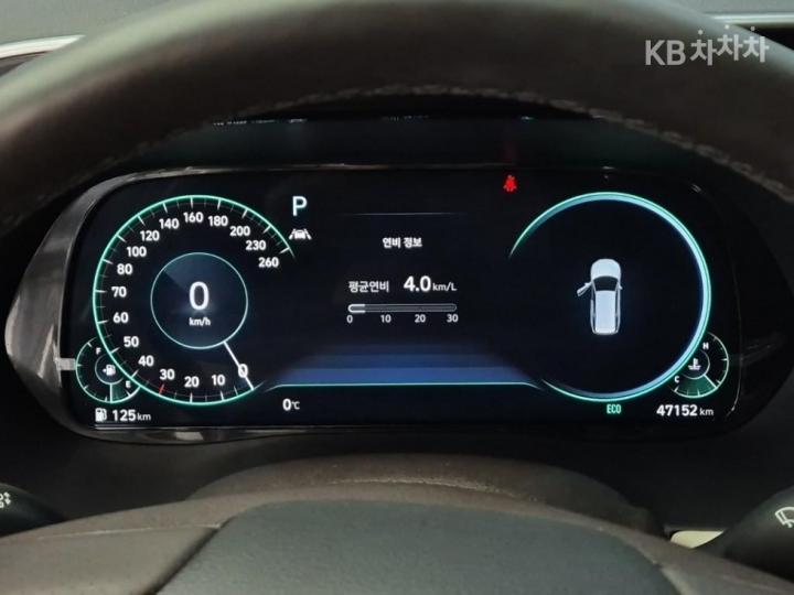 Hyundai Palisade 3.8 Gasoline VIP 7