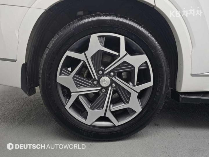 Hyundai Palisade 2.2 Diesel Calligraphy 6