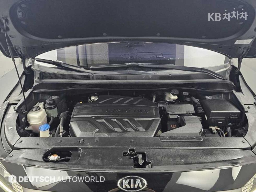 2019 - kia carnival