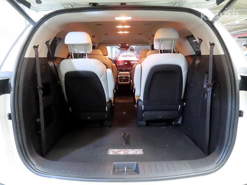 2021 - kia carnival