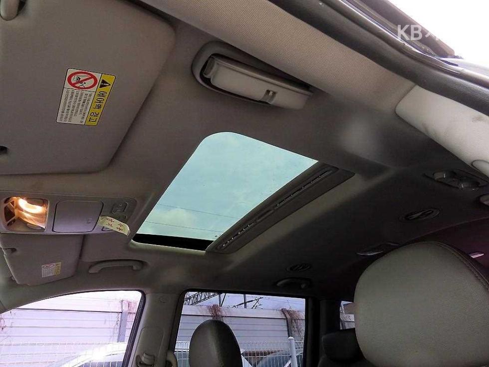 2011 - kia carnival