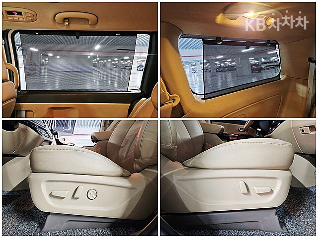 2017 - kia carnival