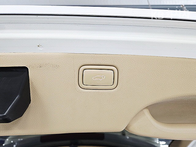 2017 - kia carnival