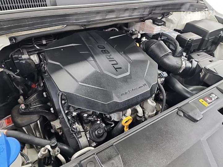 Kia Carnival D2.2 Noblesse 6