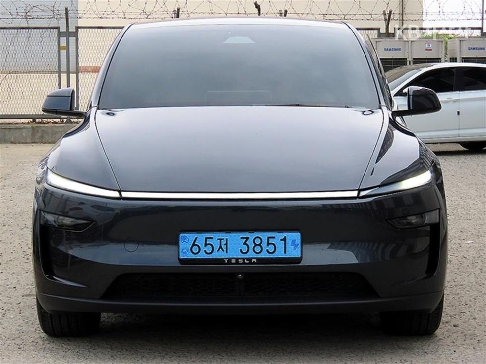테슬라 Model Y