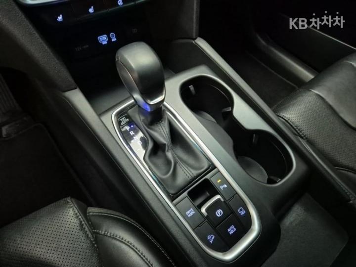Hyundai Santa Fe TM Gasoline 2.0T 4WD Exclusive Special 9