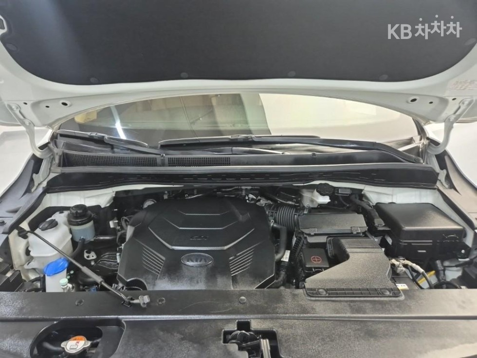 Kia Carnival — miniaturë 6