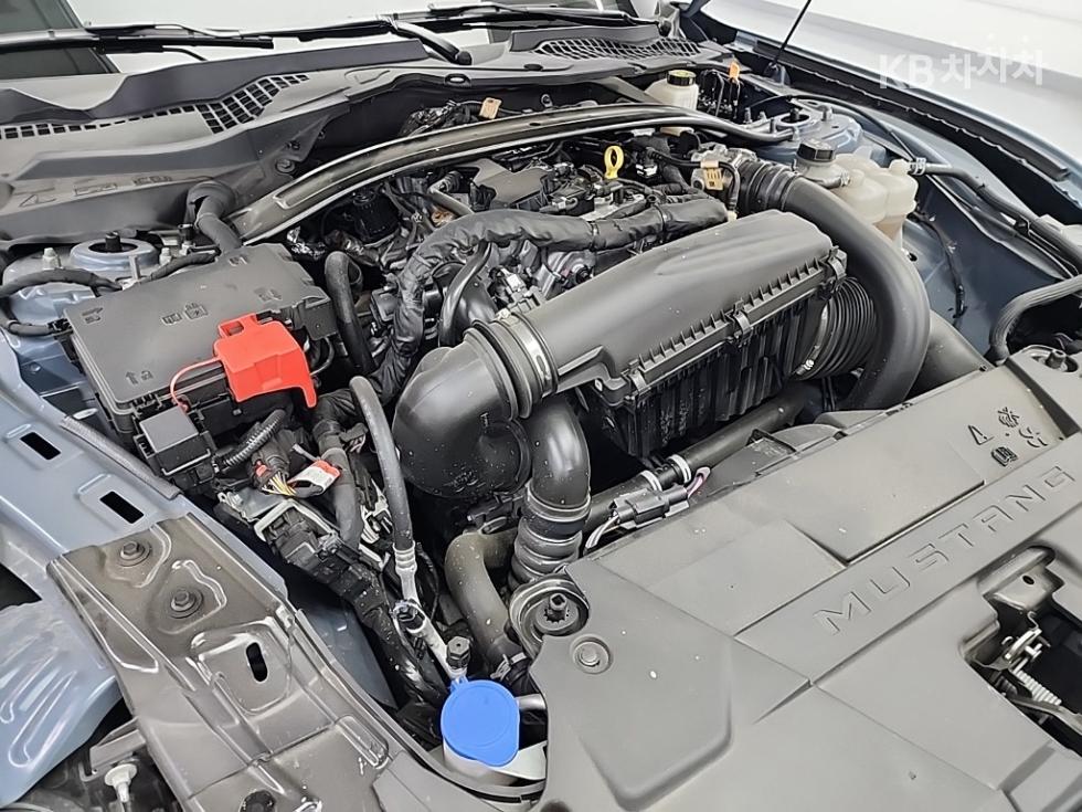 2024 Ford Used Car photo