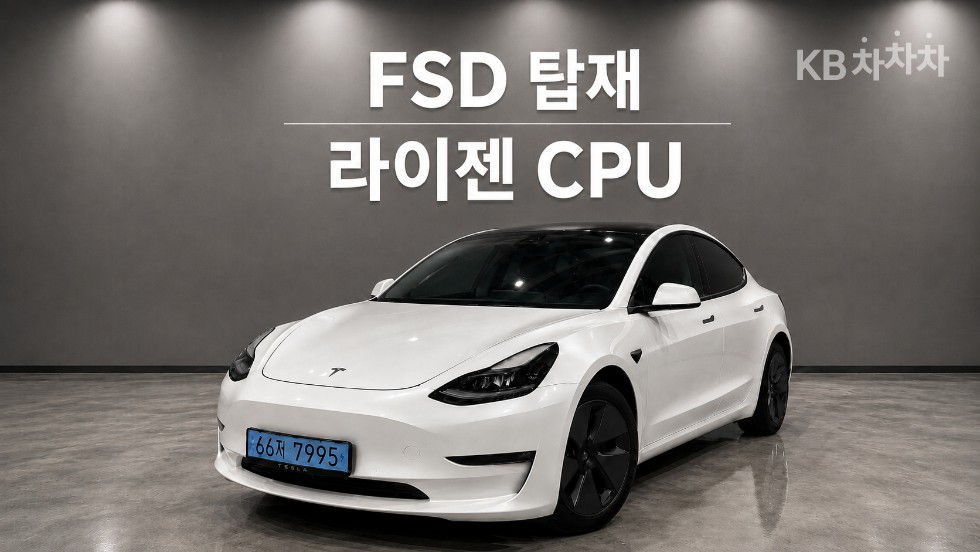 테슬라 모델 3 2022년식 테슬라 Model 3 Long Range